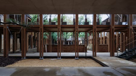Jingyang Camphor Court